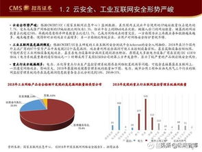 2024年网络安全行业发展趋势分析 互联网安全服务的新格局